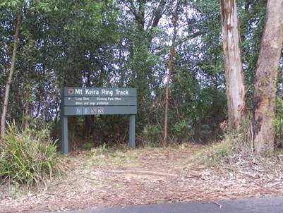 Mt Keira Ring Track (4)