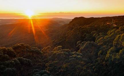 IllawarraFly 02